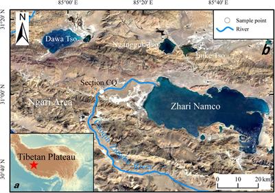 Radiocarbon and Luminescence Dating of Lacustrine Sediments in Zhari Namco, Southern Tibetan Plateau